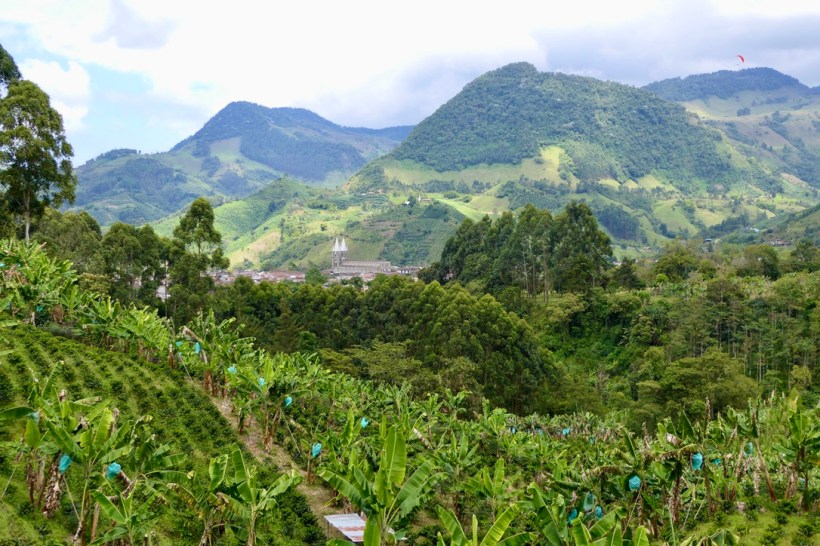 0D45DC73-E4CB-4254-AB5D-E25F4A0B2EBC_1_105_c