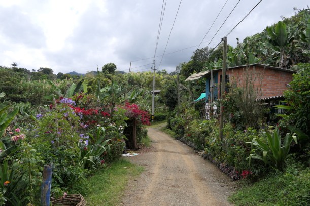 0F0D83B0-7B38-417F-B9DC-BA248AFF68DE_1_105_c