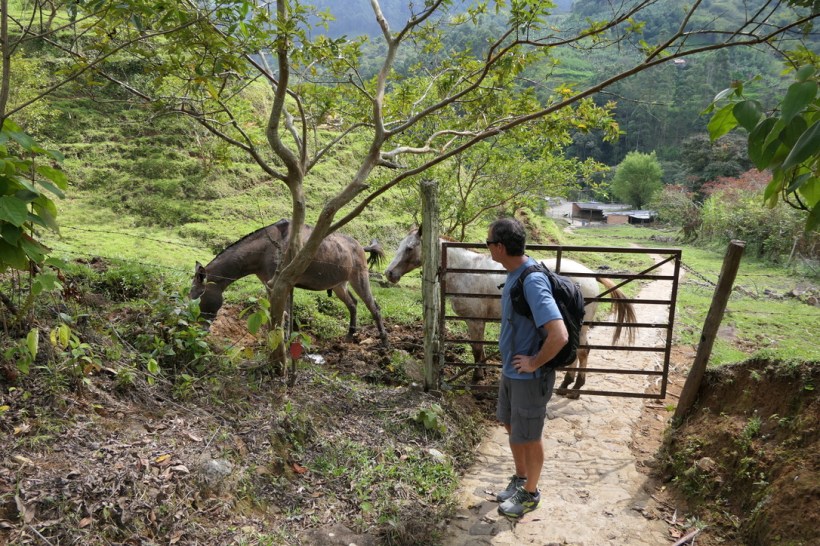 3C3F61DF-B139-4E5A-AB79-12E0E2FEE8DA_1_105_c