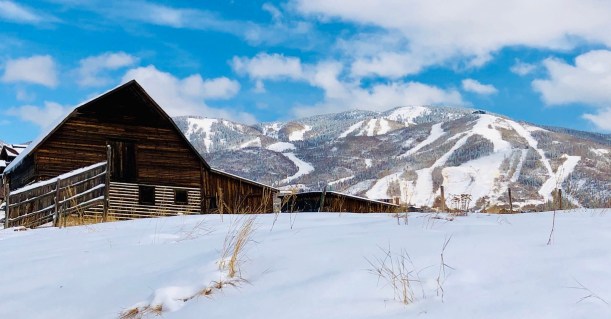 780C90AF-B384-4DF6-BF93-3426B851480A_1_105_c