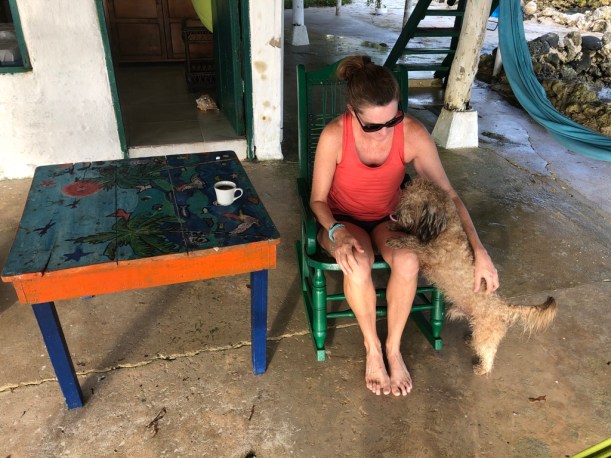 02364256-4BB3-42D6-B2CF-05A7B8855D00_1_105_c