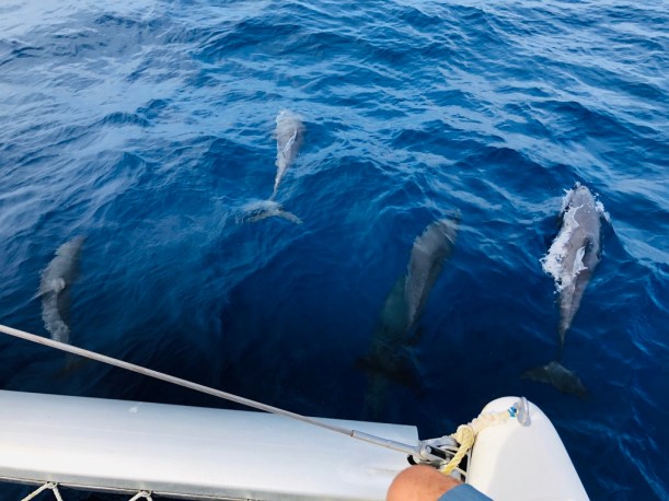 21771259-5491-4DFB-B432-14CDCBD74199_1_105_c