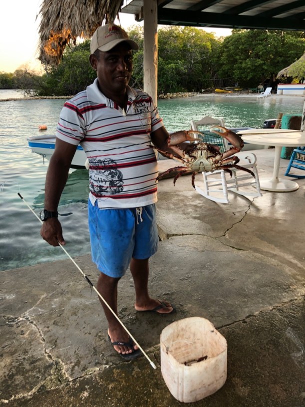 2823CCA2-5FEA-448F-8758-5F354D822521_1_105_c