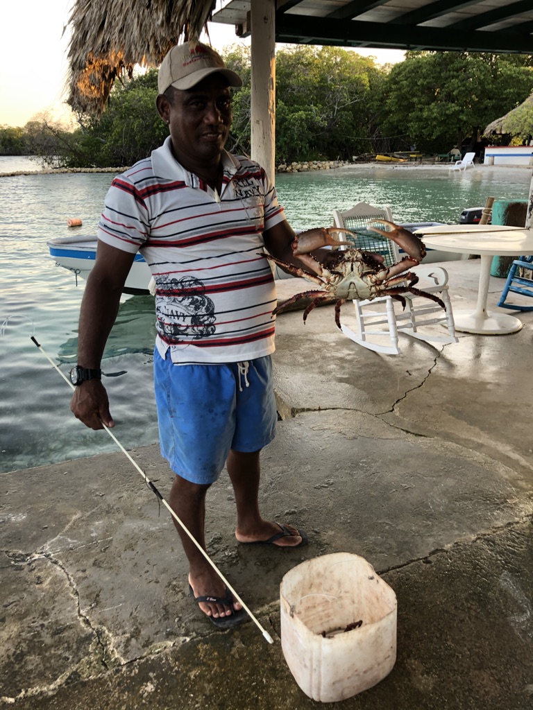 2823CCA2-5FEA-448F-8758-5F354D822521_1_105_c