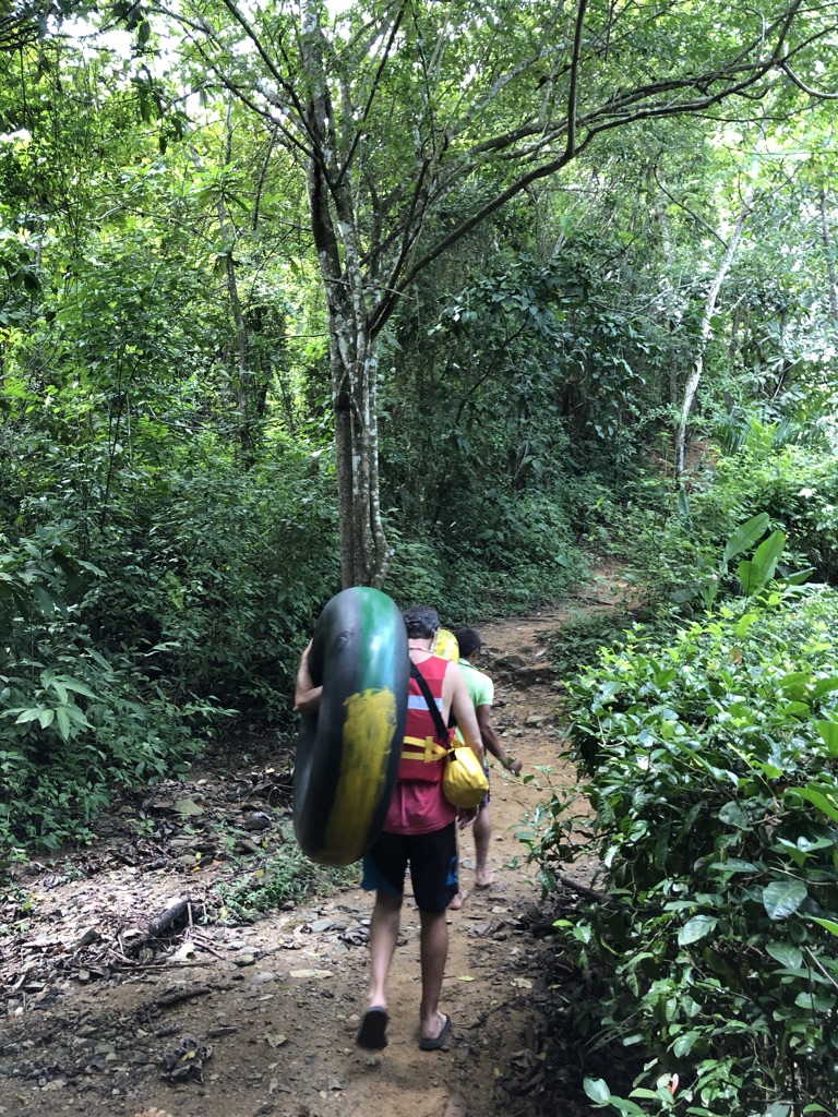 46A63233-7ADD-4F25-88AE-FB01A36C52C7_1_105_c