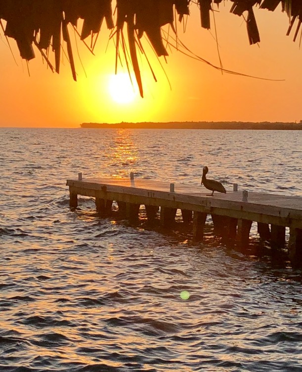 5ED0452D-4F3A-46A9-8079-517C7942E399_1_105_c