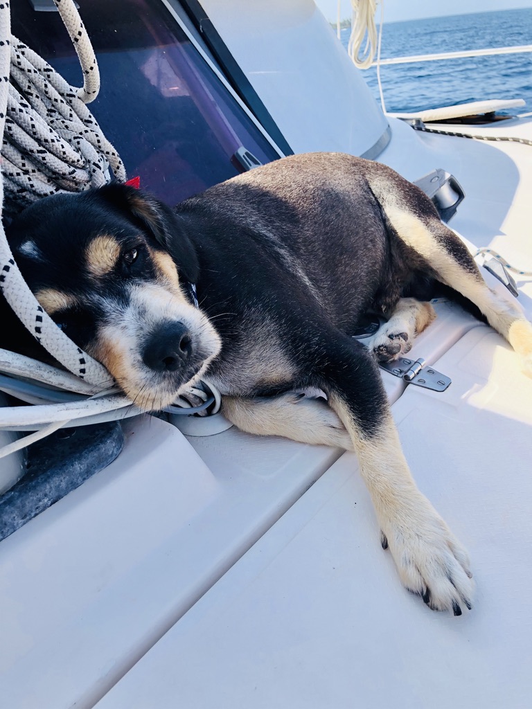 6CB87CF7-1165-41D6-9166-65C922421732_1_105_c