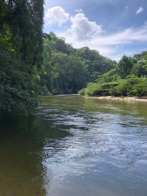 6EE2FE06-8D85-436A-8088-CB67C4D67895_1_105_c