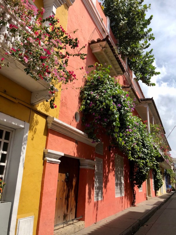 D1C27B04-5C32-4A19-8823-8290C23D429C_1_105_c