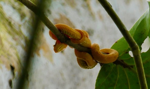 0017FC6A-D370-4390-A938-1F1DBC4CE8EE_1_105_c