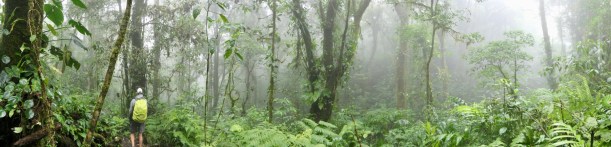 0DD349FB-2922-427F-9B79-D9697DE913F9_1_105_c