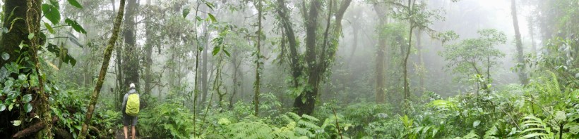 0DD349FB-2922-427F-9B79-D9697DE913F9_1_105_c