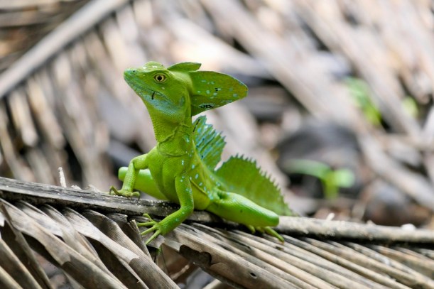 32DF436E-C3B7-45E4-A578-8ECB3BA5652E_1_105_c