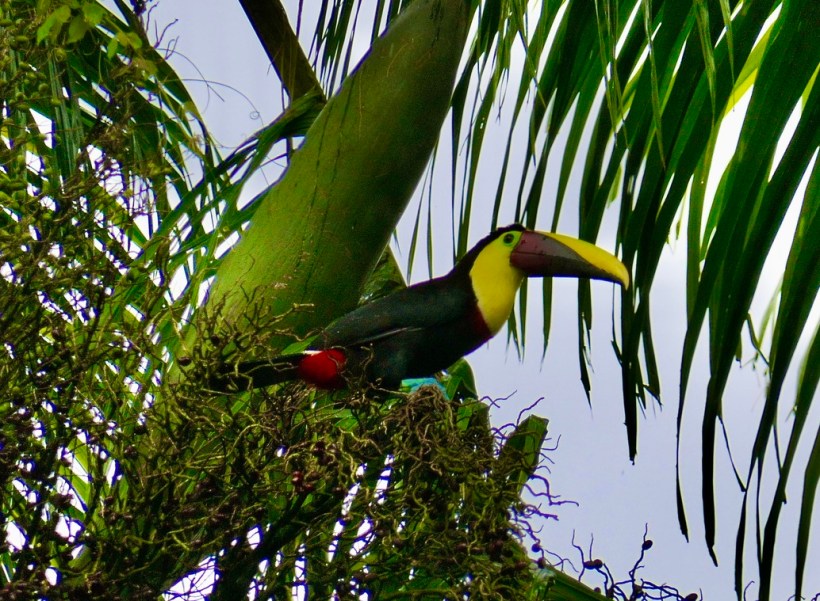 39587DC3-C5AD-4B62-B721-EB7EEC4A15F4_1_105_c