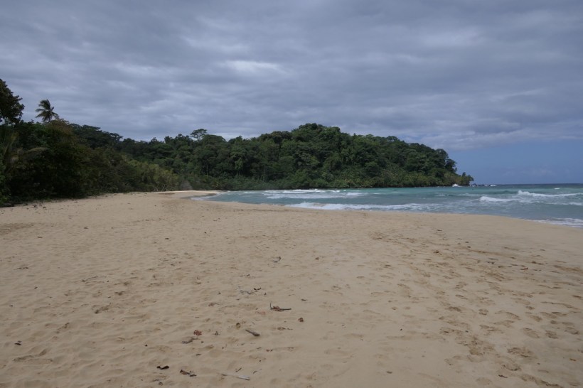 4ED4B87B-1861-4134-B1C5-B3DA1D978EC0_1_105_c