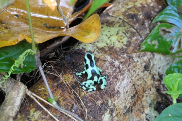 709C6FC9-E01A-4A7E-B56F-2541D6F1B382_1_105_c