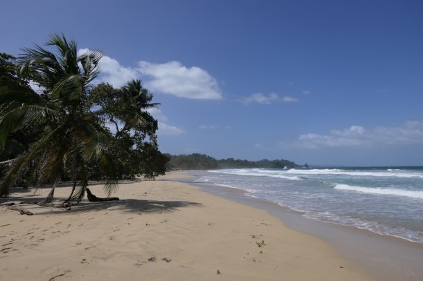 70F2A0FC-16F4-4B23-A274-301FA2C31C91_1_105_c