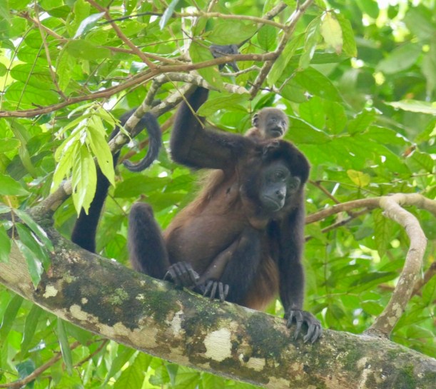 731CA239-3737-47C7-AA13-0D2B0B200DA8_1_105_c