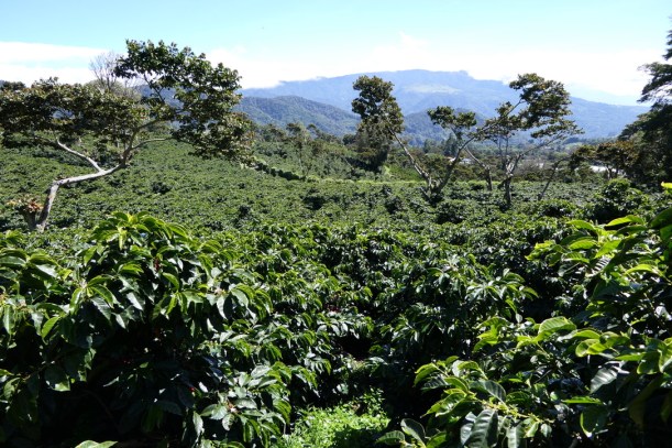 762C631E-128F-4B77-974C-86553AFEC7D9_1_105_c