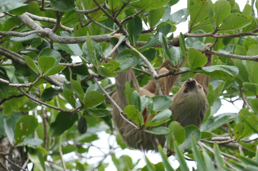 7D387B17-A86A-4977-B59B-66431D53EF64_1_105_c