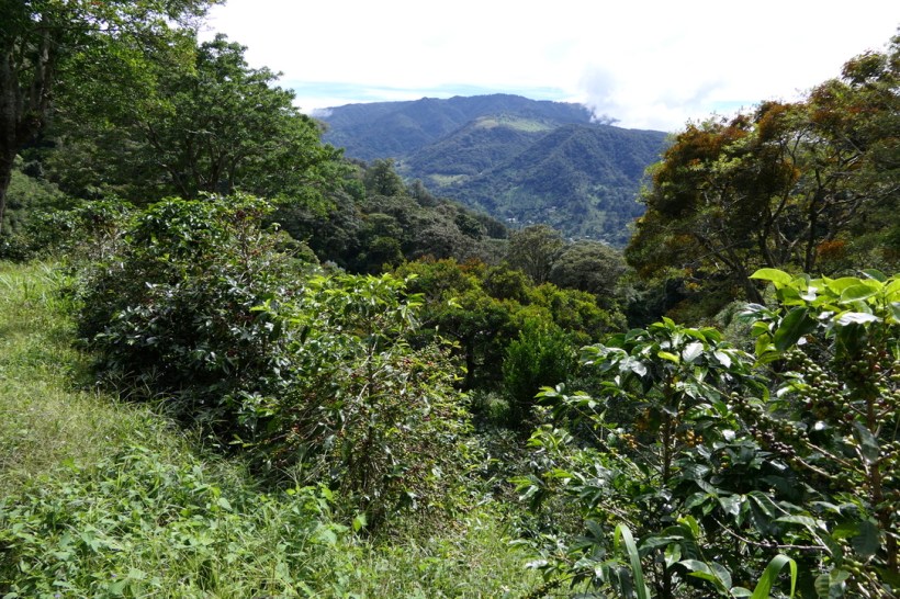 84912A59-4AE1-4962-807D-D474A01ABEB7_1_105_c