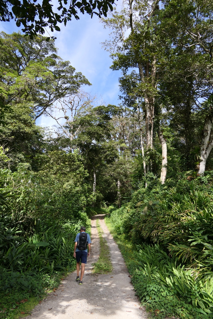 C3418038-0DA8-4179-883F-552CC240619D_1_105_c