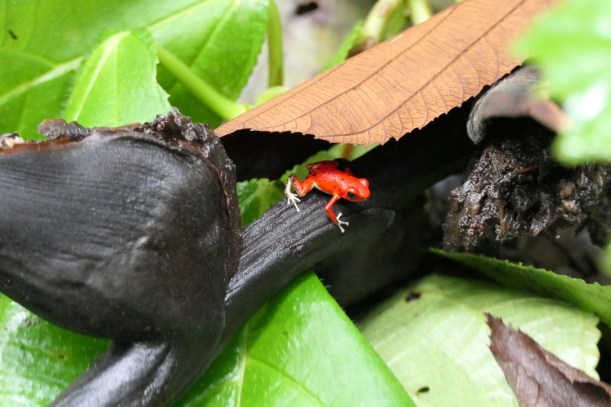 D1C9C5CE-436D-48A7-A369-AB62DA669E8F_1_105_c