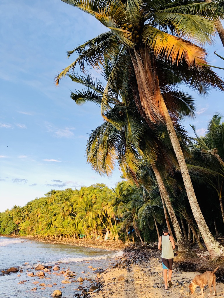 E0C670AA-B946-424C-976D-945B31940445_1_105_c