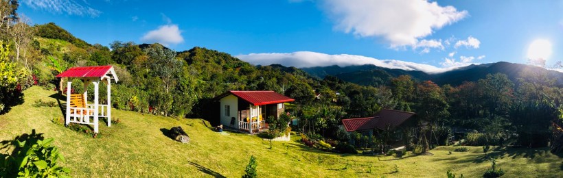 FB27F936-AC1B-43A9-9689-3394B3260F71_1_105_c