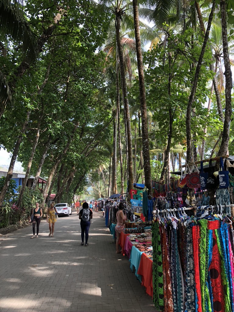 79592718-A230-45C7-A269-CC1662A1DA32_1_105_c