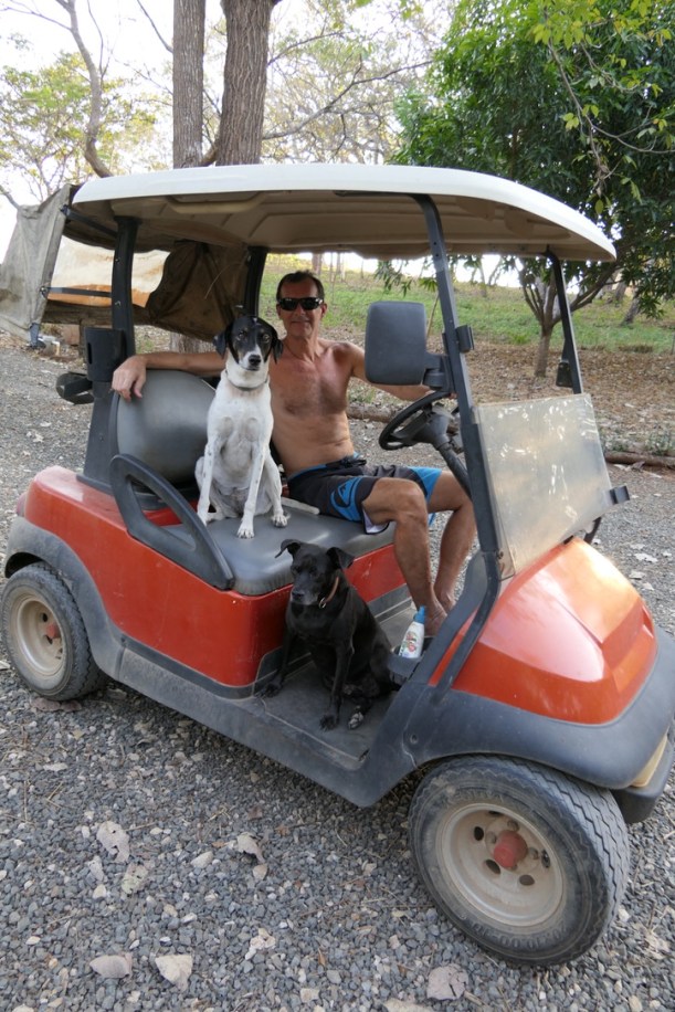 998A4DAC-8042-4966-AABB-49B91F472DDF_1_105_c