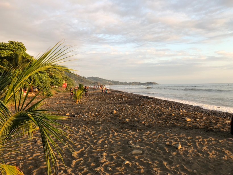 EFFA48E3-F0D4-4F61-AF53-666536E43985_1_105_c