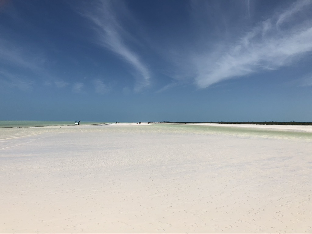 A3F17A20-06A7-4347-A612-14FC6D2D8DC1_1_105_c