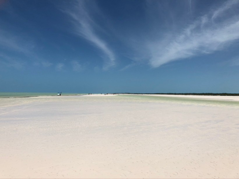 A3F17A20-06A7-4347-A612-14FC6D2D8DC1_1_105_c